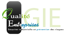 Logo Gie QualitE Partenaire Consulting